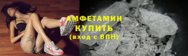спиды Новозыбков