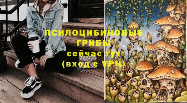 дмт Учалы
