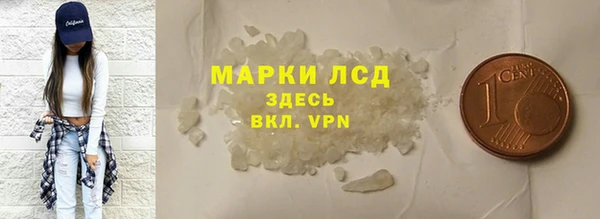 спиды Новозыбков