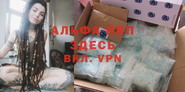 СК Новокубанск