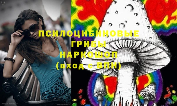 спиды Новозыбков